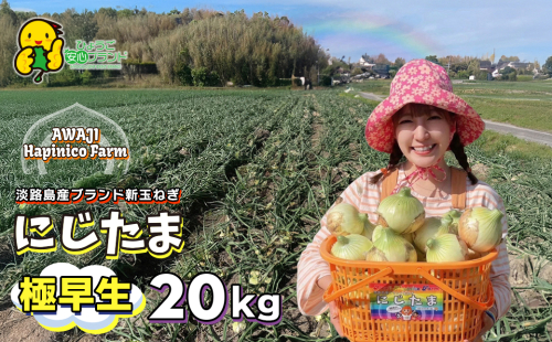 淡路島産ブランド新玉ねぎ 極早生 「にじたま」  20kgダンボール入り【発送時期2026年2月中旬～4月頃】 1105580 - 兵庫県淡路市
