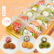 三河物語 三英傑セット～碧南が発祥の白しょう油 三英傑が愛した西尾の抹茶、徳川家康お膝元の八丁味噌を使ったマドレーヌの味くらべセット～12個入り H043-010