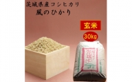 茨城県産コシヒカリ風のひかり30kg(玄米)