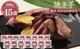 自社農園で栽培したサツマイモ(紅はるか)を貯蔵庫で定温熟成させ、じっくりと丁寧に焼き上げ、甘くておいしい焼いもに仕上げました。夏場は冷やしやきいもでもお楽しみいただけます。どうぞご賞味ください。■注意
