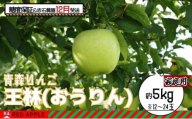 りんご [ 12月発送 ] 13度糖度保証 家庭用 王林 約 5kg [ 弘前市産 青森りんご ]