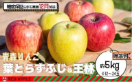 りんご [ 12月発送 ] 13度糖度保証 贈答用 蜜入り葉とらず ふじ & 王林 約 5kg [ 弘前市産 青森りんご ]