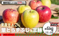 りんご [ 12月発送 ] 13度糖度保証 家庭用 蜜入り 葉とらず ふじ & 王林 約 5kg [ 弘前市産 青森りんご ]