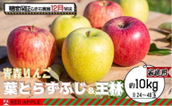 りんご [ 12月発送 ] 13度糖度保証 家庭用 蜜入り 葉とらず ふじ & 王林 約 10kg [ 弘前市産 青森りんご ]