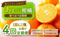 【全4回定期便】柑橘食べ比べ定期便  野中果樹園/長崎市 [LEJ007]
