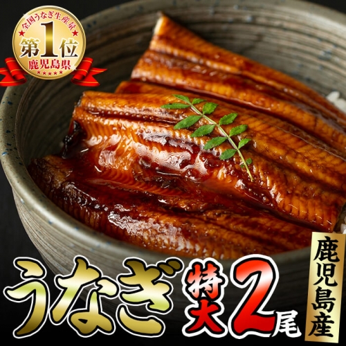 a3-115 くすだ屋の鰻 (特大)2尾<計340g以上> 110760 - 鹿児島県志布志市