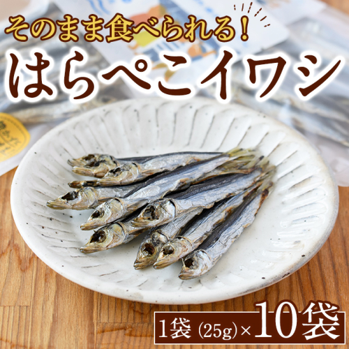 はらぺこイワシ10袋セット(25g×10袋)海産物 いわし 鰯 おつまみ おかず【下園薩男商店】akn086-12 1107925 - 鹿児島県阿久根市