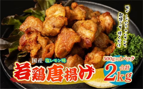 国産 若鶏唐揚げ 塩レモン味 2kg（500g×4パック） 1107928 - 熊本県八代市