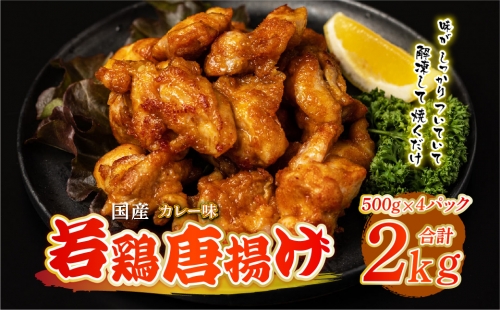 国産 若鶏唐揚げ カレー味 2kg（500g×4パック） 1107954 - 熊本県八代市