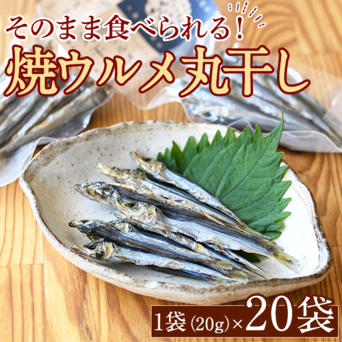 焼ウルメ丸干し20袋セット(20g×20袋)海産物 いわし 鰯 ウルメイワシ おつまみ おかず【下園薩男商店】a-31-5-z 1107989 - 鹿児島県阿久根市