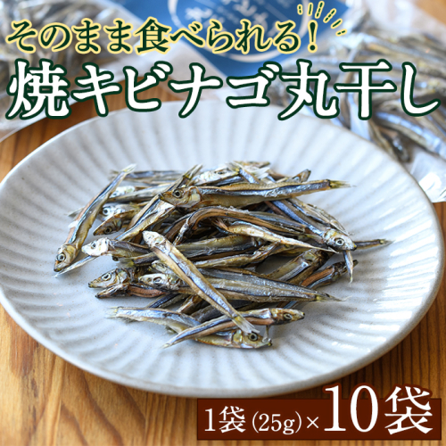 焼キビナゴ丸干し10袋セット(25g×10袋)海産物 きびなご おつまみ おかず【下園薩男商店】akn086-08 1108150 - 鹿児島県阿久根市