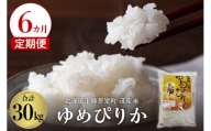 【６か月定期便】北海道産米 ゆめぴりか5kg me047-003-t6c