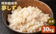 令和5年産 特別栽培米「夢しずく」玄米30kg【だいちの家】佐賀 [HAG022]