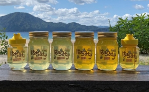 秋田県産アカシア蜜250g×1・500g×2、トチ蜜250g×1・500g×2(化粧箱入り) 110838 - 秋田県仙北市