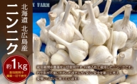 【2024年9月上旬発送開始】 北海道 北広島産 ニンニク 約1kg 野菜