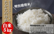 ( 令和５年産 )  【 特別栽培米 】たかたのゆめ 白米 5kg