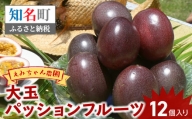 えみちゃん農園 大玉パッションフルーツ（12個入り）　C008-004