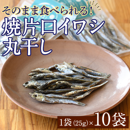 焼片口イワシ丸干し10袋セット(25g×10袋)海産物 いわし 鰯 おつまみ おかず【下園薩男商店】akn086-09 1108666 - 鹿児島県阿久根市