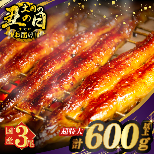 【丑の日までにお届け!!】うなぎ蒲焼特大3尾(さんしょう・たれ付き)計600g以上 鰻 魚 魚介 加工品 国産_T026-002-US 110889 - 宮崎県都農町