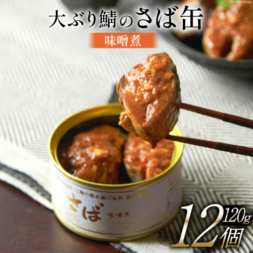 大ぶり鯖のさば缶 12缶 セット 味噌煮 [モンマルシェ 宮城県 気仙沼市 20565066] 缶詰 サバ缶 サバ 缶詰め かんづめ 鯖 さば さばの味噌煮 味噌煮 簡単調理 高級 保存食 常備 常温 1108935 - 宮城県気仙沼市