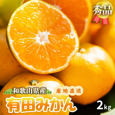 ZE6415_【秀品】有田みかん 和歌山県有田産 2kg (2S～Lサイズ混合) 【まごころ手選別】 1109162 - 和歌山県湯浅町