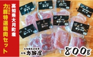 高知県大月町産 力豚 特選精肉セット　8種×100g