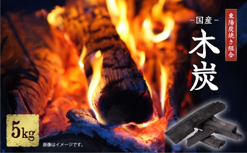 東陽炭焼き組合 国産 木炭 5kg 1109377 - 熊本県八代市