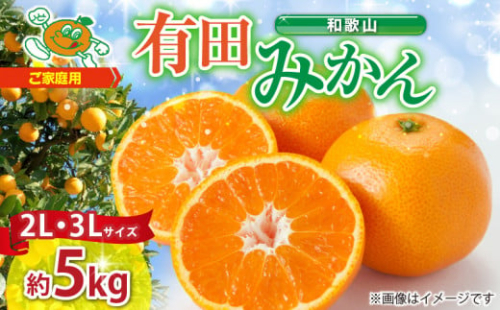 ZJ6084_【2025年先行予約】ご家庭用　和歌山有田みかん 約5kg (2L、3Lサイズいずれか)【湯浅町】 1109379 - 和歌山県湯浅町