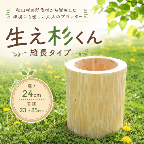 里山くらし応援 木工品 秋田杉の丸太プランター「生え杉くん（はえすぎくん）」縦長タイプ 雑貨 日用品 ガーデニング用品 木製プランター 手作り  1109517 - 秋田県能代市