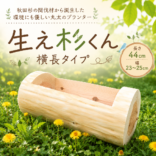 里山くらし応援 木工品 秋田杉の丸太プランター「生え杉くん（はえすぎくん）」横長タイプ 雑貨 日用品 ガーデニング用品 木製プランター 手作り  1109518 - 秋田県能代市