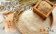 【玄米】特別栽培米 あきたこまち 2kg 秋田県産 令和5年産