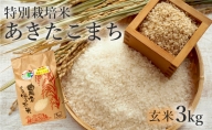 【玄米】特別栽培米 あきたこまち 3kg 秋田県産 令和5年産