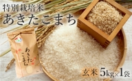 【玄米】特別栽培米 あきたこまち 5kg 秋田県産 令和5年産
