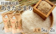 【玄米】特別栽培米 あきたこまち 10kg（5kg×2袋） 秋田県産 令和5年産
