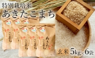 【玄米】特別栽培米 あきたこまち 30kg（5kg×6袋） 秋田県産 令和5年産