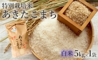 【白米】特別栽培米 あきたこまち 5kg 秋田県産 令和5年産