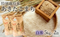 【白米】特別栽培米 あきたこまち 10kg（5kg×2袋） 秋田県産 令和5年産