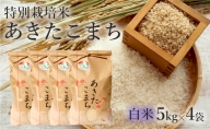 【白米】特別栽培米 あきたこまち 20kg（5kg×4袋） 秋田県産 令和5年産
