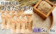 【白米】特別栽培米 あきたこまち 30kg（5kg×6袋） 秋田県産 令和5年産