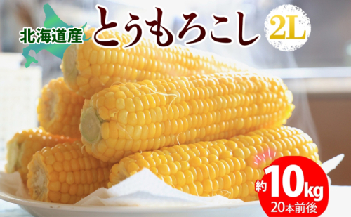 北海道産 とうもろこし 2L 約10kg 20本前後 2025年8月下旬～9月上旬頃お届け とうきび 新鮮 旬 トウモロコシ スイートコーン 産地直送 送料無料 北海道 洞爺湖町 110996 - 北海道洞爺湖町