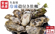 宮城県産 冷凍 殻付き 牡蠣 21個（7個入り×3パック）生食可 小分け