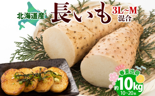 北海道産 長いも 春夏出荷 約10kg 2026年5月上旬～6月下旬頃お届け 長芋 ながいも とろろ 農作物 野菜 新鮮 根菜  山かけ 産地直送 お取り寄せ 送料無料 冷蔵 北海道 洞爺湖町 111011 - 北海道洞爺湖町