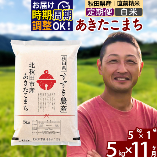 ※令和7年産※《定期便11ヶ月》秋田県産 あきたこまち 5kg【白米】(5kg小分け袋) 2025年産 お届け時期選べる お届け周期調整可能 隔月に調整OK お米 すずき農産 1110668 - 秋田県北秋田市