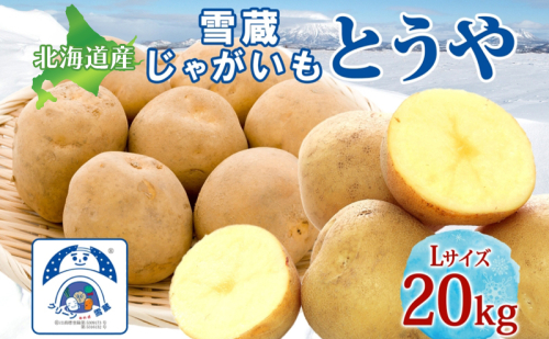 雪蔵じゃがいも 20kg とうやＬサイズ 2026年3月上旬～3月末までお届け ジャガイモ 芋 甘い なめらか しっとり ポタージュ カレー 調理 料理 煮込み料理 雪蔵 旬 季節 農作物 野菜 根菜 北海道 洞爺湖町  111069 - 北海道洞爺湖町