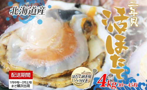 北海道産 活ほたて 2年貝 約 4kg 30枚～45枚 2026年1月中旬～2月上旬頃お届け 殻付き 貝付き 帆立 ホタテ ほたて 貝 魚介 海産 海鮮 貝柱 噴火湾 刺身 焼き フライ 生産者支援 産地直送 送料無料 魚介類  111076 - 北海道洞爺湖町