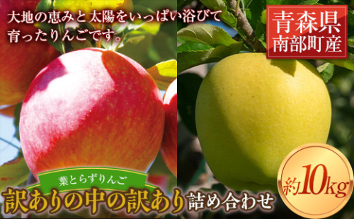 《訳ありの中の訳あり》 葉とらずりんご詰め合わせ 約10kg 【四戸農園】 減農薬 有機肥料 青森りんご リンゴ 林檎 アップル あおもり 青森 青森県 南部町 果物 くだもの フルーツ 訳あり 訳アリ わけあり 規格外 3kg 5kg 以上 F21U-362