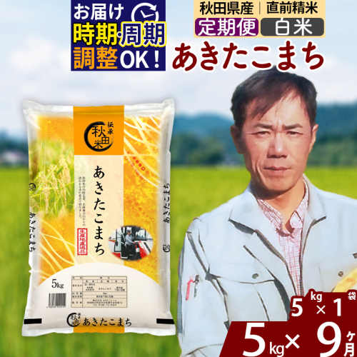 ※令和7年産※《定期便9ヶ月》秋田県産 あきたこまち 5kg【白米】(5kg小分け袋) 2025年産 お届け時期選べる お届け周期調整可能 隔月に調整OK お米 みそらファーム 1111447 - 秋田県北秋田市