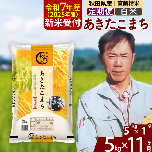※令和7年産 新米予約※《定期便11ヶ月》秋田県産 あきたこまち 5kg【白米】(5kg小分け袋) 2025年産 お届け時期選べる お届け周期調整可能 隔月に調整OK お米 みそらファーム 1111449 - 秋田県北秋田市