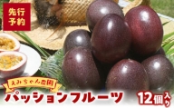 えみちゃん農園 パッションフルーツ（12個入り）　C008-010