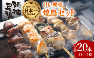 期間限定 けい樂亭 阿波尾鶏 焼き鳥 5種 20本 セット 高級 冷凍 鶏肉 焼き鳥 徳島 地鶏 あわおどり ギフト お歳暮